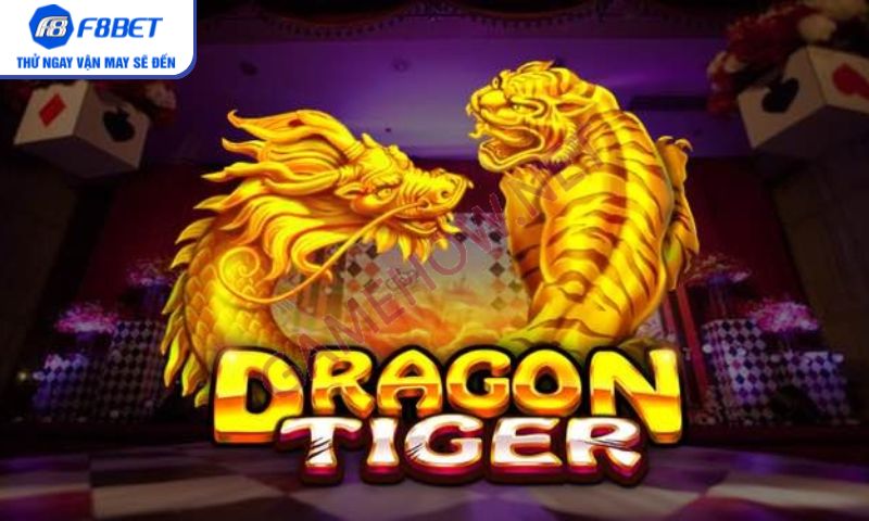 Hướng dẫn chơi rồng hổ online dễ hiểu dành cho tân thủ